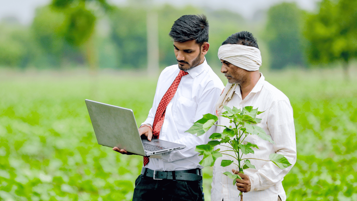 Agriculture Success