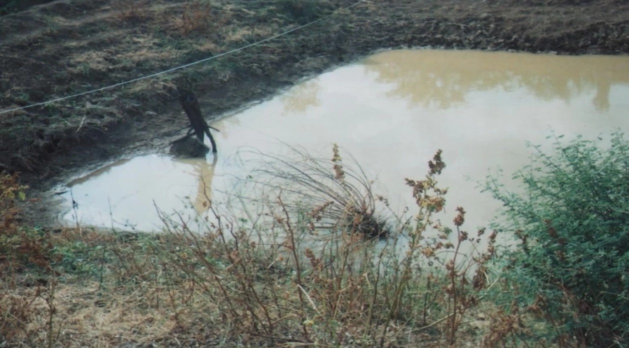 Silt Removal