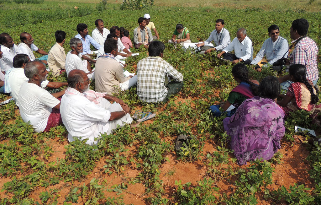 Farmer Education Icon