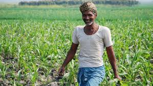 Farmer Motivation Icon