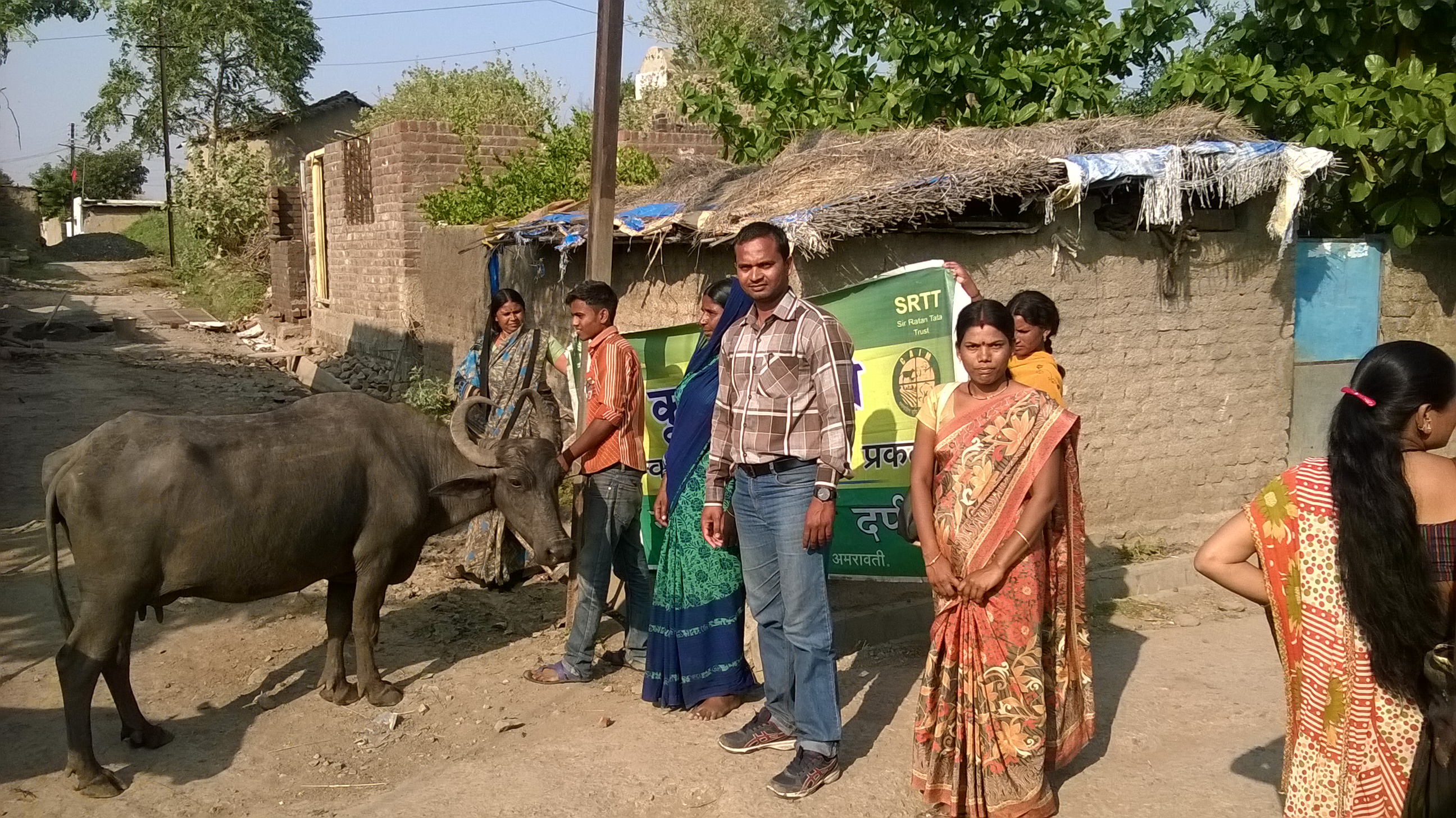 Animal Management