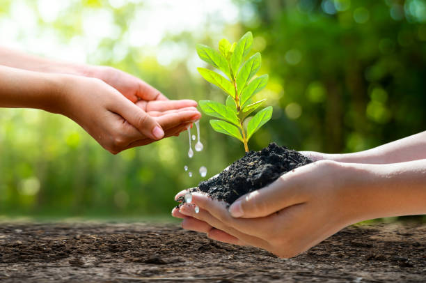 Water and Soil Conservation Icon
